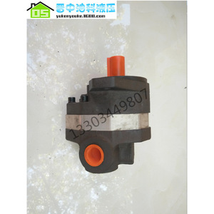 Pompe à engrenages hydraulique Yuci CB-FD16-FL 250 bars, monophasée, à débit fixe, entraînement électrique - Product Image 2