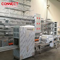 Équipement de volaille de type entièrement H 50000 Cages de batterie de pondeuse de poulet Ensemble d'équipement de ferme de poules d'œufs Système de cage de poulet de pondeuse
