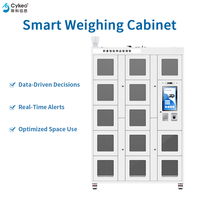 Gabinete de Pesaje Inteligente con Cerradura Electrónica RFID para Gestión de Inventario de Almacén y Sistema de Control de Almacenamiento
