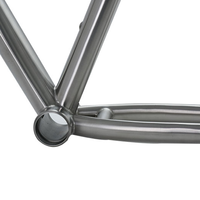 Cadres de vélo de gros pneu de Ti-3Al-2.5V de titane de la chine pour la route/vtt utilisant
