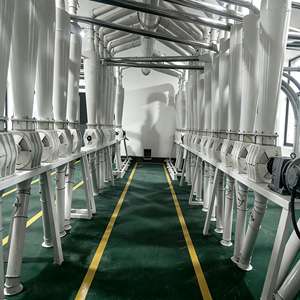 Moulin à farine de blé 100 TPD : Faible investissement, rendement élevé pour les projets de démarrage d'entreprises agroalimentaires, approvisionnement en gros - Product Image 3