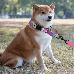 Kerah pelatihan anjing peliharaan 2 in 1 kualitas tinggi supersteed nilon dapat disesuaikan tugas berat menyesuaikan kerah anjing Martingale - Product Image 6