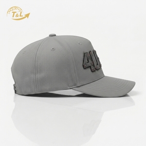 Casquette Snapback T&L Baseball 5 panneaux à visière incurvée 100 % coton, impression en relief/numérique, unisexe adulte, multi-styles (animal/dessin animé) - Product Image 3