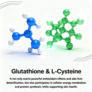 Oem chăm só<span class=keywords><strong>c</strong></span> sắ<span class=keywords><strong>c</strong></span> đẹp da miệng màng mỏng bổ sung chất chống oxy hóa bằng miệng Dải với <span class=keywords><strong>Glutathione</strong></span> / L-Cysteine / <span class=keywords><strong>Vitamin</strong></span> <span class=keywords><strong>C</strong></span> / <span class=keywords><strong>Vitamin</strong></span> E - Product Image 4