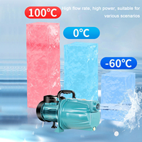 Bomba de Agua Eléctrica Autocebante de Alta Calidad, Bomba de Chorro para Presurización de Pisos Domésticos, Riego Agrícola