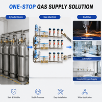 Industrial Gas Manifold SS304 Dual Line | Cylinder Distribution System with Brass Valves Pressure Gauges