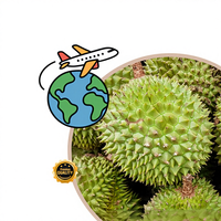 Diepvries Thaise Durian Monthong Export VS Zuid-Korea Wereldwijd Vers Gesneden Fruit 500g 14 Dagen Houdbaarheid Wereldmarkt A4 Fruit