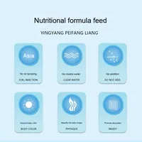 Jeneca Best-seller Nourriture pour petits poissons rouges granulaires et poissons d'ornement Koi plastique moderne et aliments pour poissons tropicaux