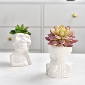 Maceta de Cerámica JM con Forma de Calavera, Pequeña Maceta de Dibujos Animados Blanca para Plantas Suculentas, Bonsáis, Decoración para Hogar, Jardín y Oficina - Product Image 4