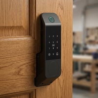Serrure Intelligente Tuya pour Porte en Bois et Acier, Alliage d'Aluminium, Étanche, Extérieure, Numérique, Empreinte Digitale, Mot de Passe, WiFi, Serrure Intelligente Bull-head