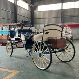 Calèche électrique de luxe classique royale européenne personnalisée blanche haut de gamme pour le tourisme - Product Image 5