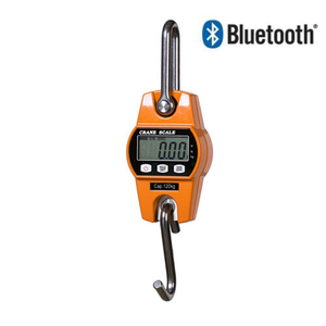 Cân Treo Điện Tử Mini Móc Và Còng Thép Không Gỉ 30Kg 60Kg 150Kg 300Kg - Product Image 4