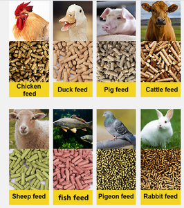 Alimentación animal <span class=keywords><strong>de</strong></span> piensos <span class=keywords><strong>de</strong></span> <span class=keywords><strong>peletizadora</strong></span> - Product Image 6