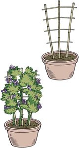 Treillis en bambou naturel pour plantes grimpantes - Support miniature de 60 cm pour plantes en <span class=keywords><strong>pot</strong></span>, vigne, lierre et fleurs - Product Image 5