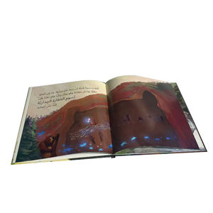 หนังสือเด็กหลากหลายประเภทมีราคาที่เหมาะสมอย่างมืออาชีพ - Product Image 2
