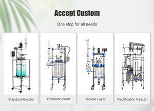 Glass Reactor with High-Quality Glass <b>Stirrer</b> for Smooth Operation - Product Image 2