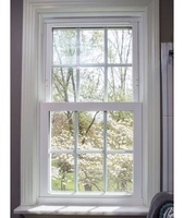 Ventanas Modernas de Vinilo de Doble Hoja para el Hogar, Doble Acristalamiento UPVC con Marco de Aleación de Aluminio, Apertura Vertical, Cortina Colgante