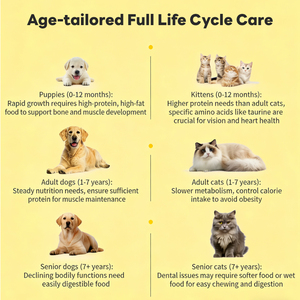 مصنع الجملة لينة مضغ الحيوانات الأليفة المكملات الغذائية 11 في 1 الفيتامينات للحيوانات الأليفة الكلب فيتامين ملحق الصحة - Product Image 4