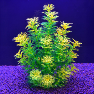 Plantes aquatiques artificielles <span class=keywords><strong>pour</strong></span> <span class=keywords><strong>aquarium</strong></span>, décoratives, sans entretien, <span class=keywords><strong>pour</strong></span> aménagement paysager submergé - Product Image 1