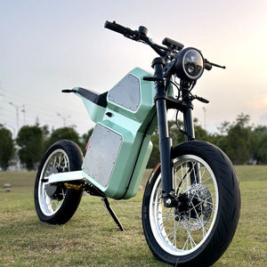 Venta Directa de Fábrica, Bicicleta Eléctrica de Largo Alcance con Llantas Gruesas de 17 Pulgadas, Batería de 75AH, 12600W, Bicicleta Todoterreno - Product Image 1