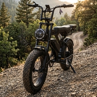 Vélo électrique tout-terrain à pneus larges pour adultes, Stealth Bomber 48V 500W, idéal pour la conduite hors route en montagne et les trajets en ville - BE020