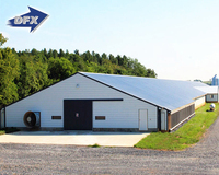 Tunnel léger ferme poulailler soudé coupe et plié maison de poulets de chair pour l'élevage de volailles hangar agricole en plastique