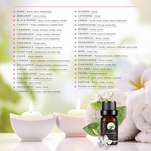 Juego de aceites de aromaterapia puros 100%, difusor orgánico de eucalipto, árbol de té, lavanda, menta, 10ml, juego de aceites esenciales puros 6 - Product Image 4