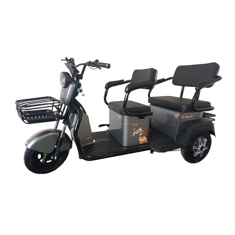 Triciclo elettrico per il tempo libero di alta qualità per la famiglia a tre ruote a batteria pedicab