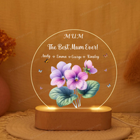 Veilleuse à fleurs en acrylique personnalisée Veilleuse LED personnalisée pour maman Fête des mères Lampe Cadeau