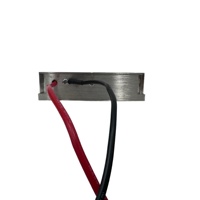 Module amplificateur RF JF 300-450MHz 200W LoRa pour pistolet anti-drone, étanche, en métal, pour défense FPV UAV, 25-28V 4A, garantie 1 an