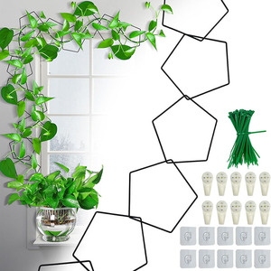 Vente en gros de 20 pièces de décoration d'intérieur pour le jardin, cadre de <span class=keywords><strong>support</strong></span> pour plantes grimpantes en treillis en métal - Product Image 1