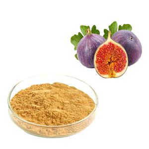 HONGDA Fig frutta in polvere estratto di fico polvere di fico - Product Image 1
