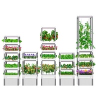 Système de jardin intérieur contrôlé par application avec lampes de culture Système de légumes grimpants hydroponiques