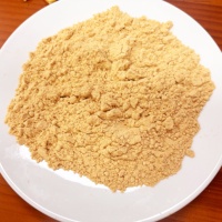 Poudre de gingembre, qualité alimentaire, poudre fine, vente en gros d'usine à prix compétitif