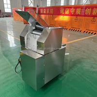 Nouvelle machine électrique commerciale portable haute productivité pour la découpe automatique de Chin Chin et la fabrication de cubes de pâte pour snacks