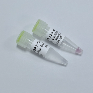 KASP PCR MixPlus - Master Mix 2X per Genotipaggio SNP |   GDSBio - Product Image 2
