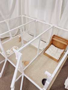 Recinto per Animali Domestici in Plastica Trasparente, Cabina Moderna Fai-da-Te, Regolabile, Facile da Pulire, Combinazione Flessibile, Spazi Multipli, Durevole per Interni - Product Image 5