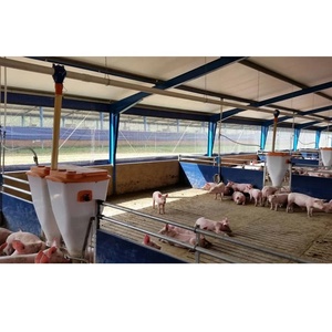Nhà Kho Khung Thép Nhẹ Thiết Bị Trang Trại Lợn Và Chuồng Heo Nhà Gieo - Product Image 1