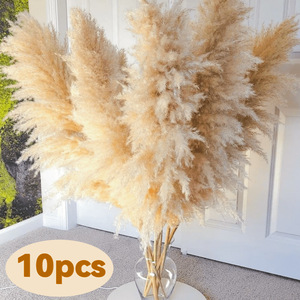 Super Fluffy and Dense Dried Reeds Farmhouse Home Decoration - Floating Grass Wall Decor <strong>Can</strong> Provide Phytosanitary Certificate - Product Image 3