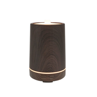 Humidificateur intelligent d'aromathérapie d'huile essentielle de type-c de grande capacité en plastique d'innovation