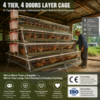 Cage à poules pondeuses de type A à 4 niveaux pour 128 oiseaux, prix de la batterie, cage à volailles pour 128 poules pondeuses, cage à poules pondeuses utilisée dans les élevages avicoles