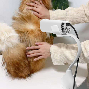 Sèche-cheveux pour animaux de compagnie, machine à souffler de l'eau, à suspendre au cou, libère vos mains, sèche-cheveux pour animaux de compagnie à suspendre au cou avec support de bureau - Product Image 1