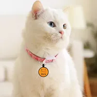 Collier personnalisé pour animaux de compagnie avec étiquette de suivi, champ de nom vierge et boucle de fermeture en plastique circulaire pour chats et chiens