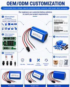 <span class=keywords><strong>Batterie</strong></span> Li-Ion rechargeable ZHGPOWER 18650 4000mAh 3.7V, vente chaude - Product Image 6
