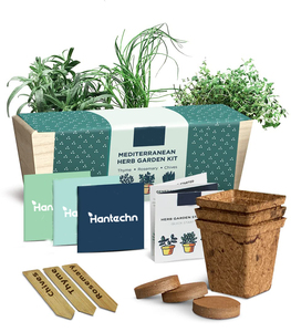Kit de démarrage de jardin d'herbes aromatiques biologiques d'intérieur avec semis de <span class=keywords><strong>basilic</strong></span>, en carton moderne pour usage domestique - Product Image 1