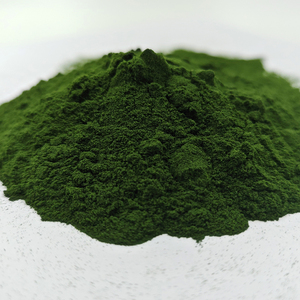 Green Sea <strong>Algae</strong> Peel Powder Pigmentation <strong>Remover</strong> for Face Hydrolyzed Sponge Spongilla Spicula Zena <strong>Algae</strong> Seaweed Peeling Powder - Product Image 4