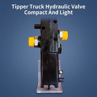 Vanne de commande hydraulique inverseur PT pour camion benne, vanne pneumatique en fonte haute pression, fiable, OEM