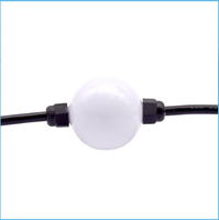 DMX512 haute performance DC24V 20pcs/strand IP20 360 °   Guirlande lumineuse LED RGB RGBW pour la décoration de façade de parc d'attractions