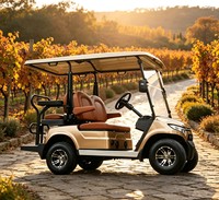 Buggy utilitaire électrique à basse vitesse A817.2+2, pour les plages côtières