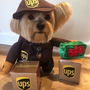 Disfraz de UPS para Mascotas, Traje de Transformación para Perros de Razas Medianas y Grandes, Ropa Divertida de Invierno con Accesorios en Caja, Paquete Marrón UPS - Product Image 2
